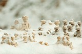 20130305_0928 1